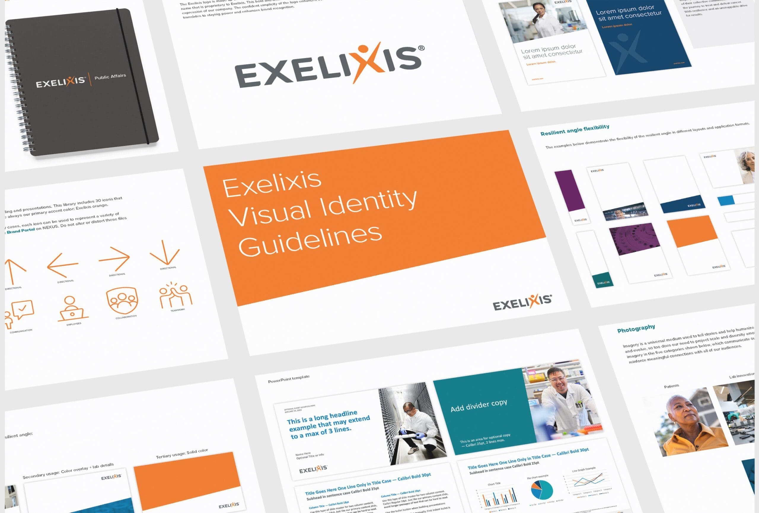 Exelixis Brand Manual