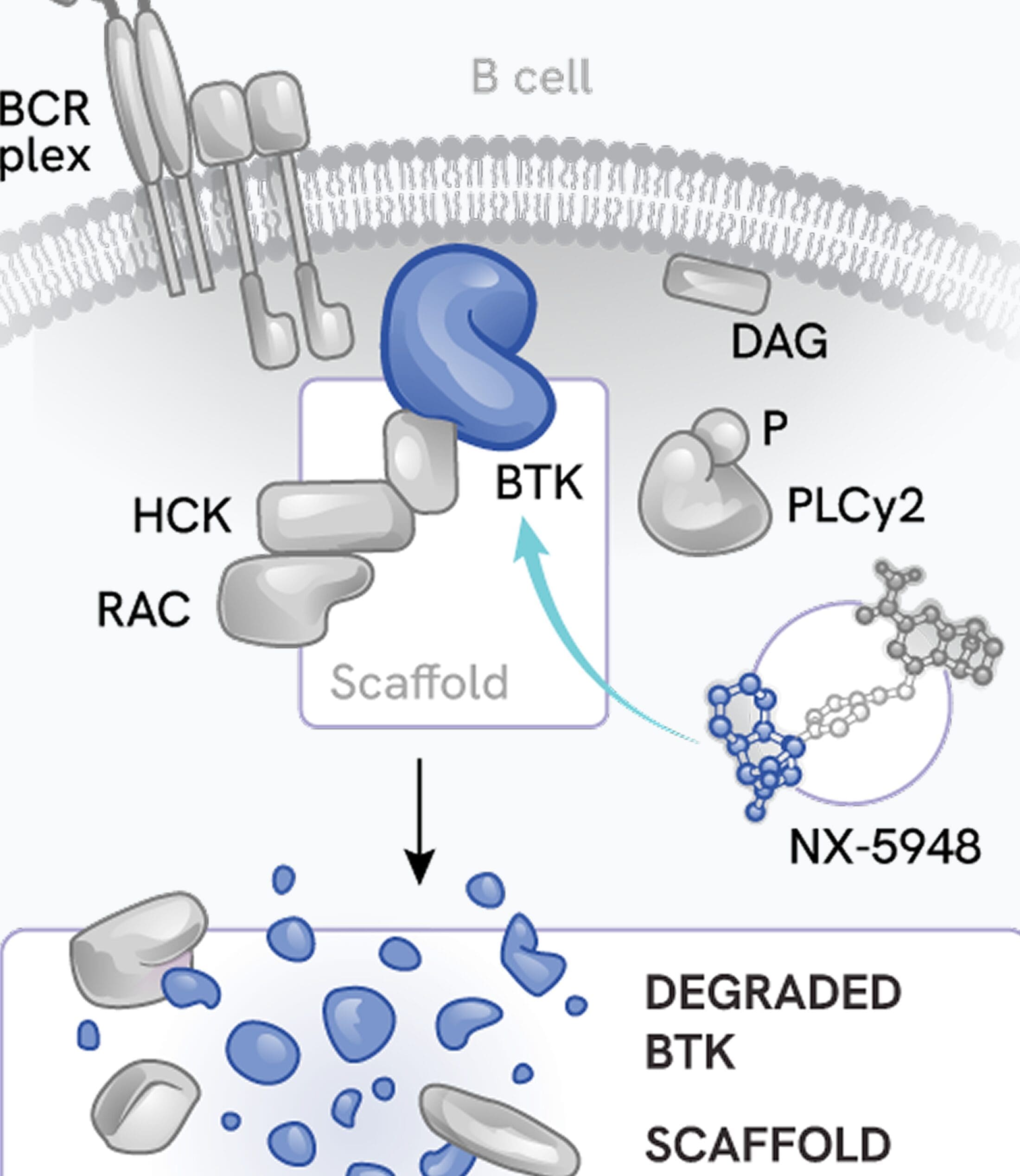 Demonstrate scientific superiority